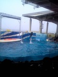 新江ノ島水族館20060812