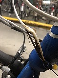 BicycleWire